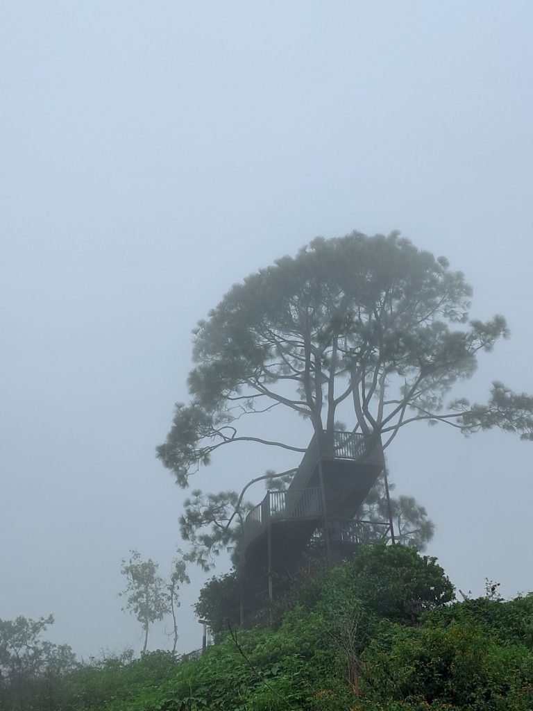 Misty tree house style view point